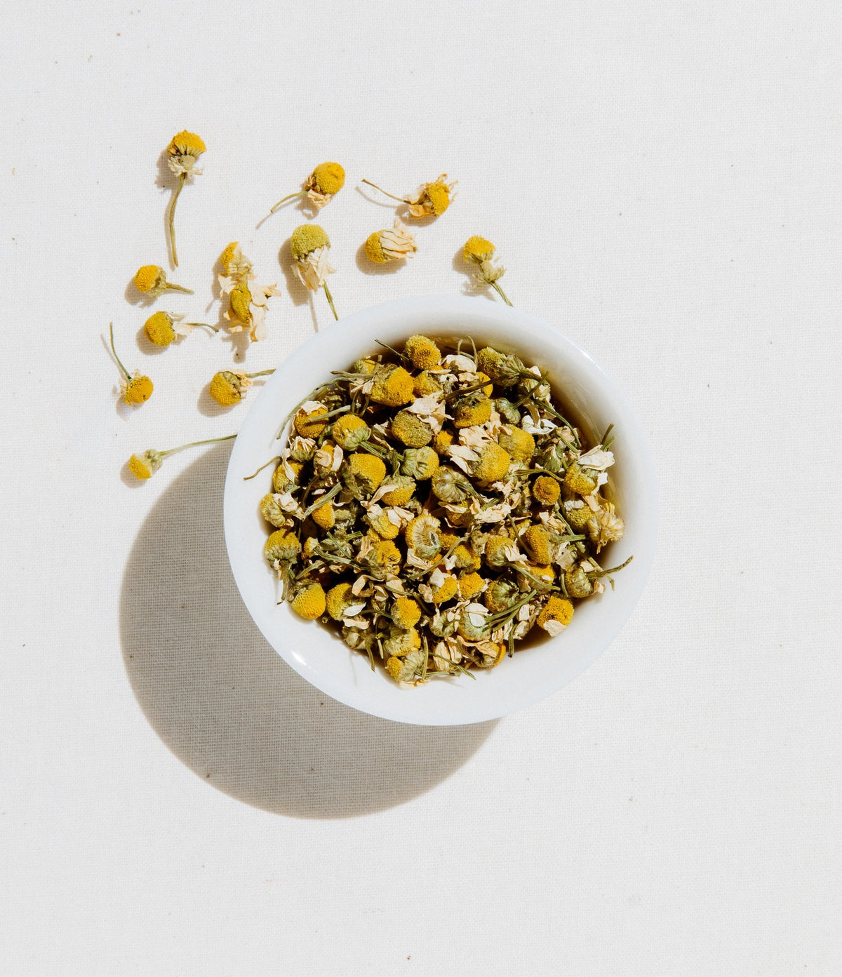 Egyptian Chamomile Herbal Tea Loose Leaf