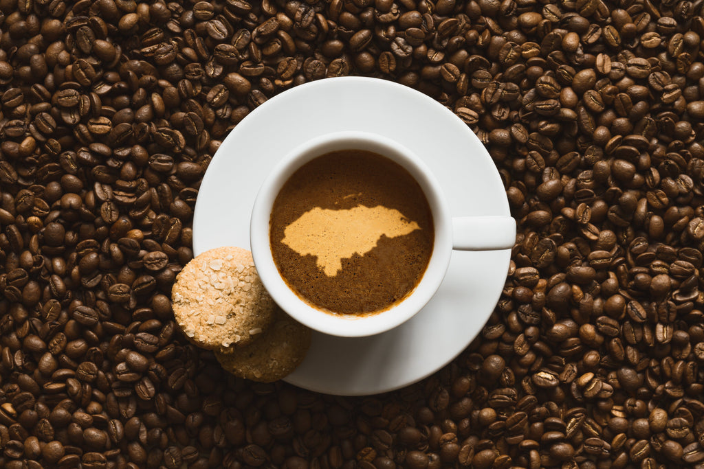Twenty-Fourth Ave Espresso Blend Specialty Coffee