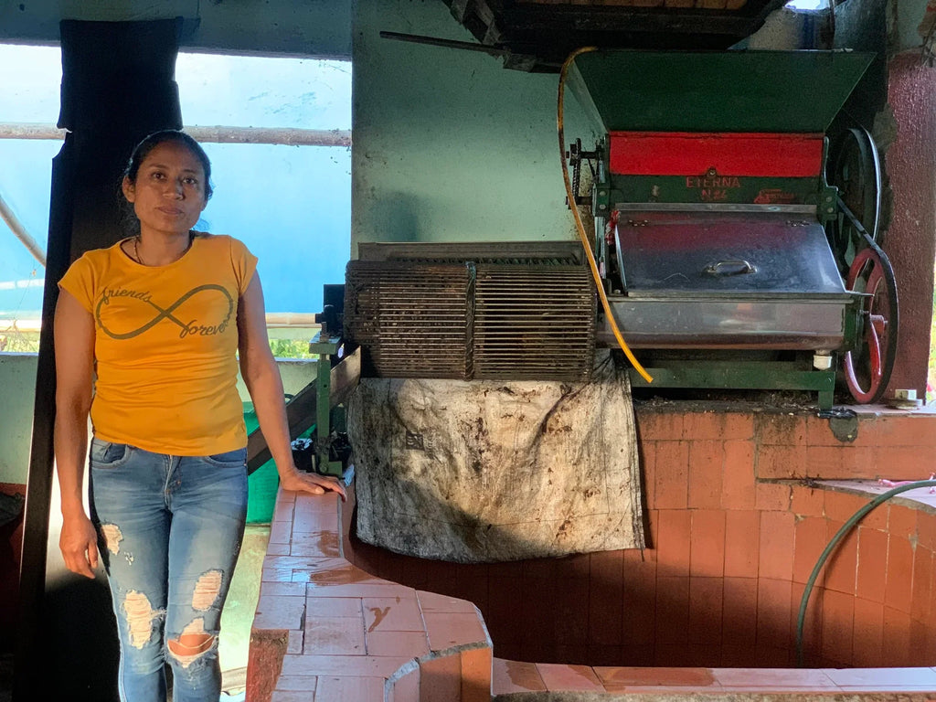 Colombian Los Guaduales Yury Montanchez Washed Process