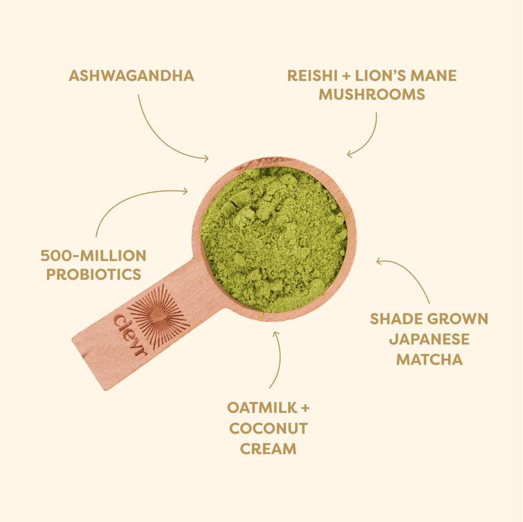 Matcha SuperLatte Specialty Coffee